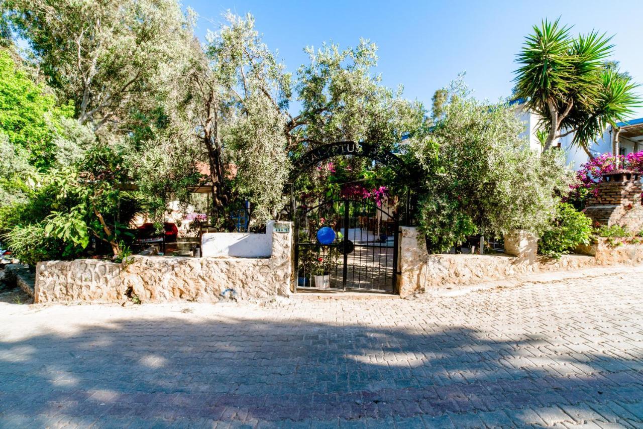 Eucalyptus Pension Патара Экстерьер фото